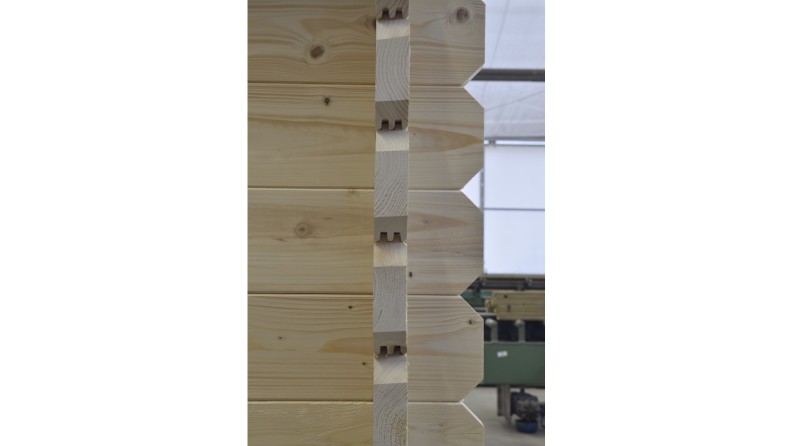 Caseta de jardín de madera 25 m2 - 5x5 m - 40 mm