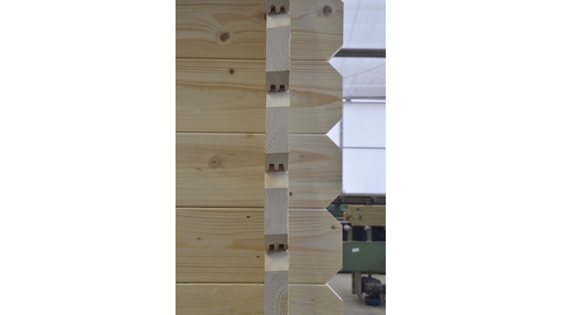 Caseta de jardín de madera 30 m2 - 6x5 m - 40 mm